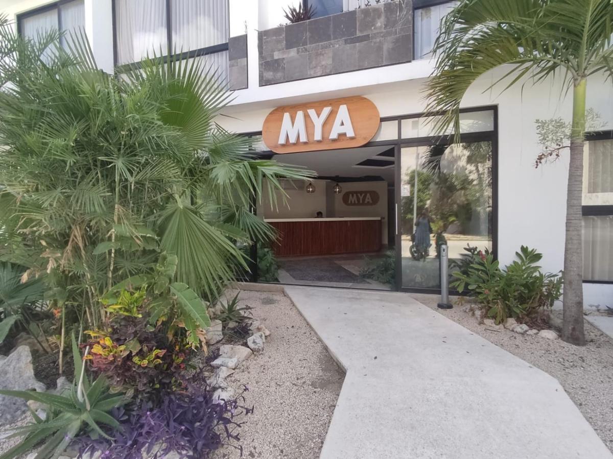 Nuevo Estudio Con Terraza Totalmente Equipado Tulum Aldea Zama ภายนอก รูปภาพ